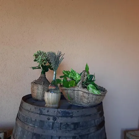 Campo Cantina Ginestra