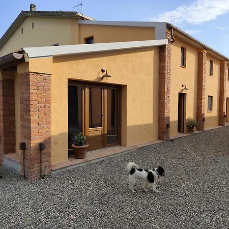 Campo Cantina Ginestra