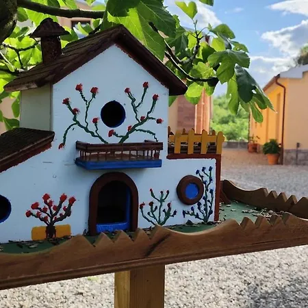 Campo Cantina Ginestra