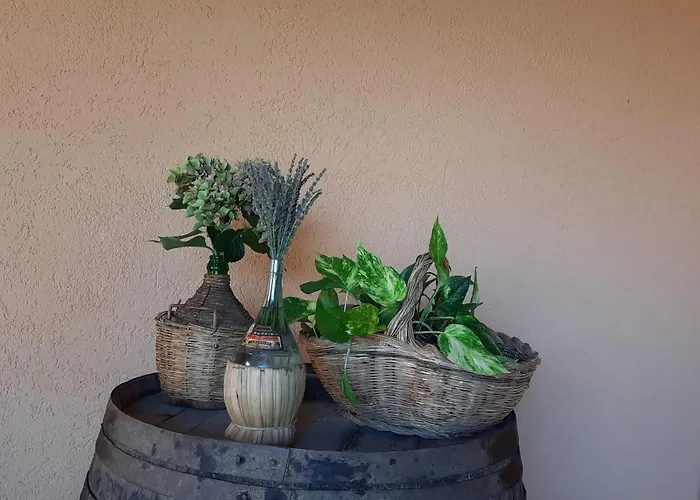 Campo Cantina Ginestra