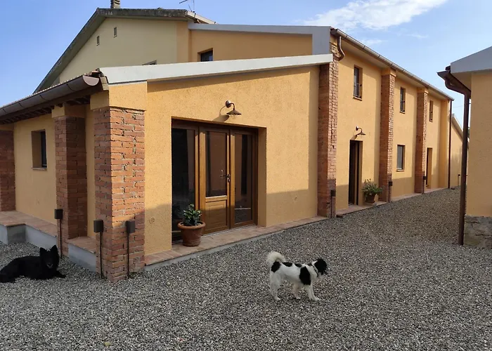 Campo Cantina Ginestra