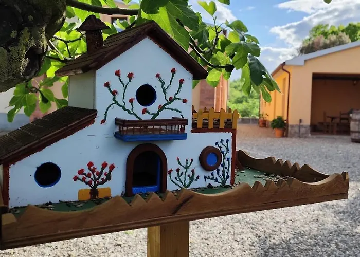 Campo Cantina Ginestra